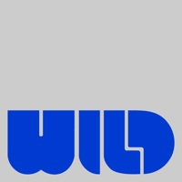1 WILD Logo Blau